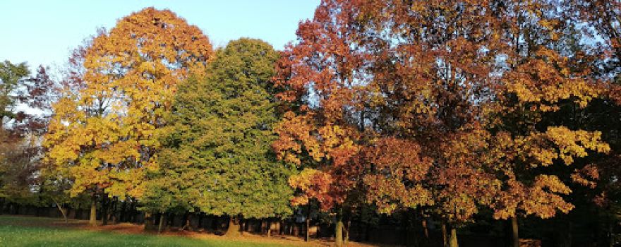 Parco Villa Ancilotto