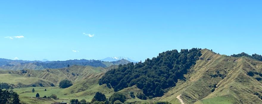 Whangamomona Saddle