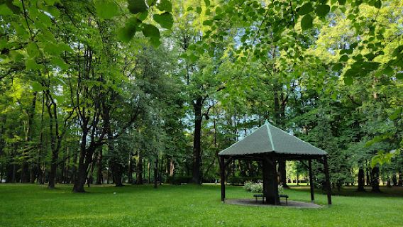 Park miejski w Bytomiu