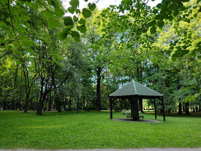 Park miejski w Bytomiu