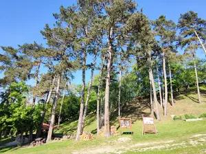 Hrad Hrušov