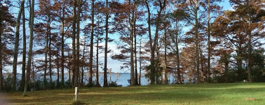 Osprey Nest Campground