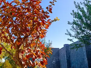 Koşuyolu Parkı