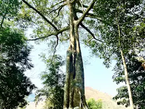 Đền Ken