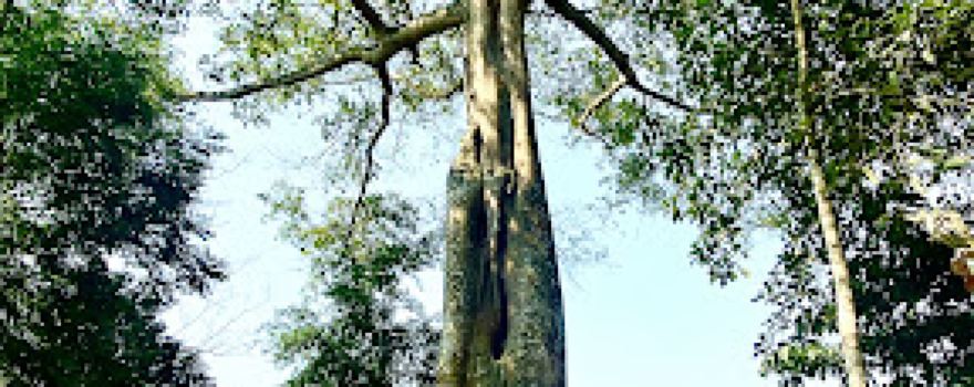 Đền Ken