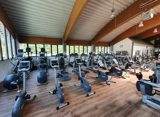 紐瑪特-安華萊斯