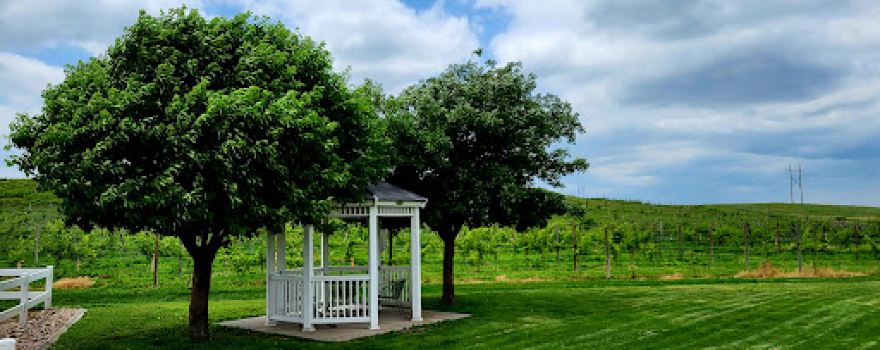 Feather River Vineyards