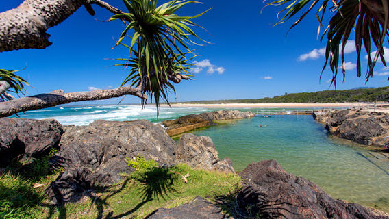BIG4 Sawtell Beach Holiday Park