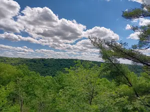 Cook Forest - Seneca Point