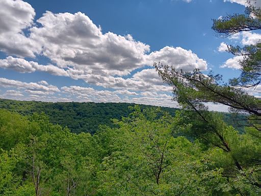 Cook Forest - Seneca Point