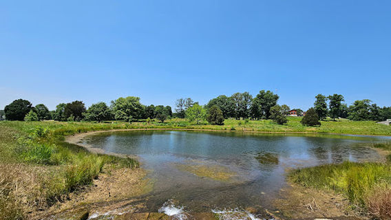 Jasper Parklands