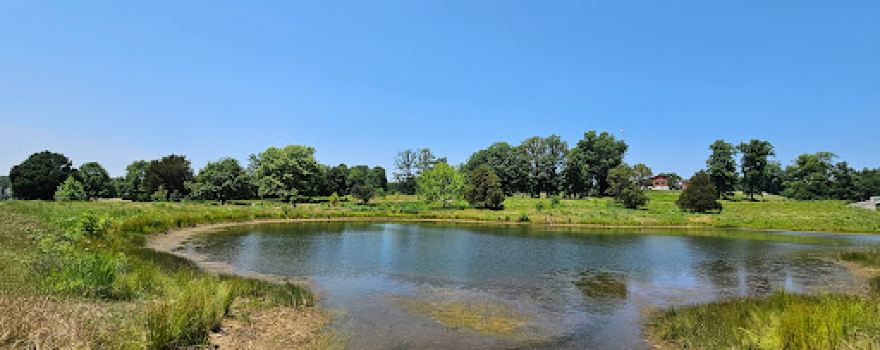 Jasper Parklands
