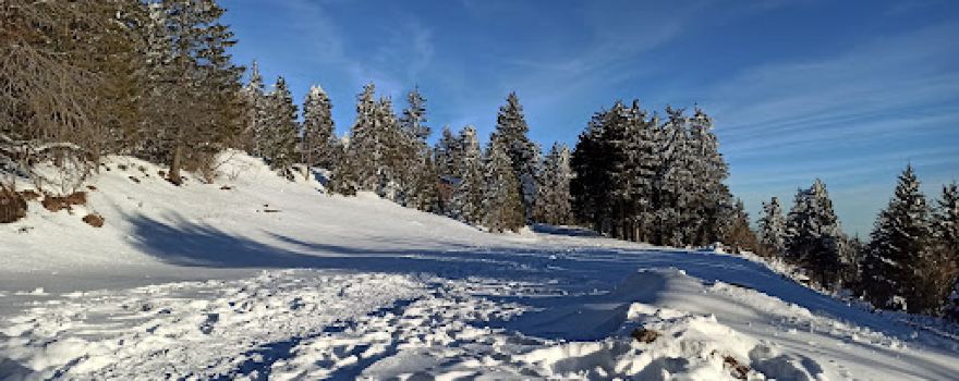 Mummelseeblick