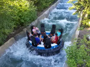 Scarywood Haunted Nights