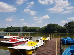 Wocker-See