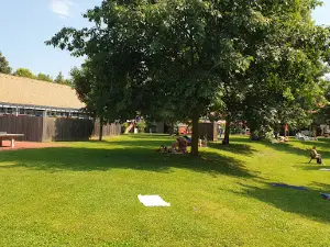 Kipferlbad - Schwimmteich