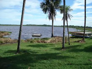 Fazenda Sol Nascente