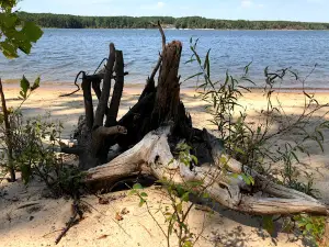 Beaverdam Lake State Recreation Area