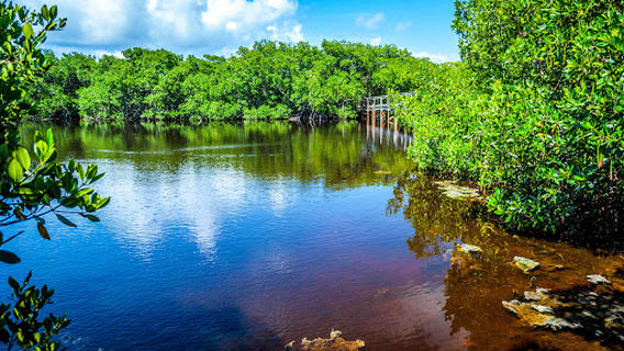 Faro Las Cabezas de San Juan