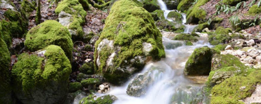 Wolfsschlucht Herbetswil