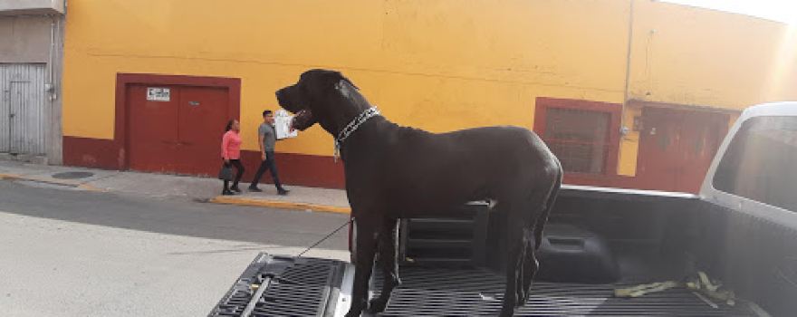Plaza Centenario