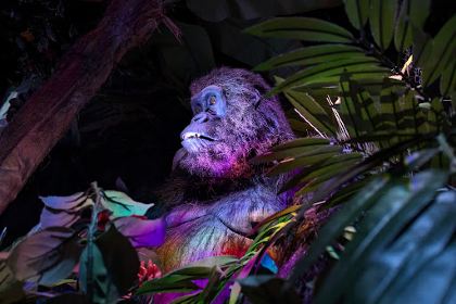 Rainforest Cafe Malta