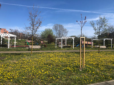 Parcul Europa
