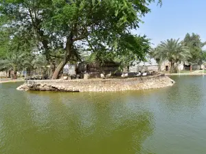 Zoo