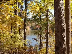 Indian Springs Campground