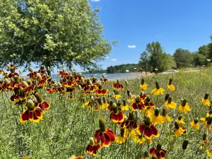 Palmer Point Park