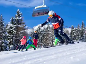 ナースフェルト・プレッセッガー