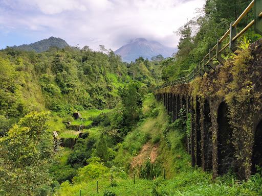 Plunyon Kalikuning