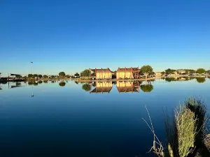 Mansel Carter Oasis Park