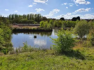 Gedling Country Park