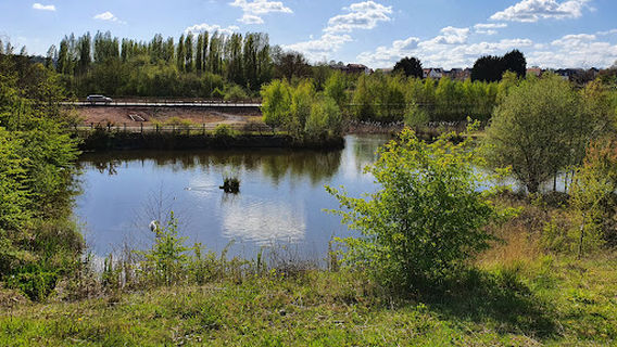 Gedling Country Park