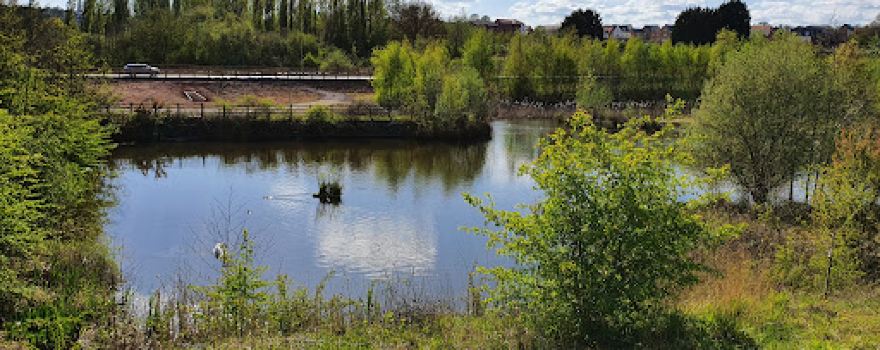 Gedling Country Park