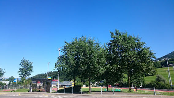 Distrito de Höfe