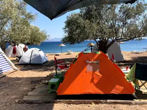 Camping on Neverland (ASSOS way)