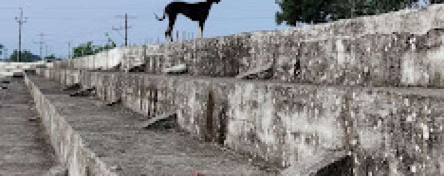 Garud School's Stadium