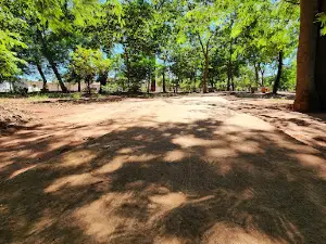 Bosque Municipal Dr. Nélson Coelho Araújo