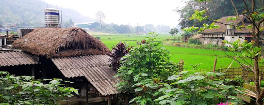 Khu Sinh Thái - Vườn Trái Cây - Trà Hoa Viên