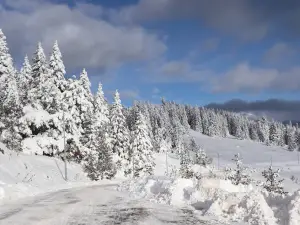 ılgaz doruk kayak merkezi
