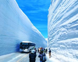 香港-立山町 機票酒店 自由行