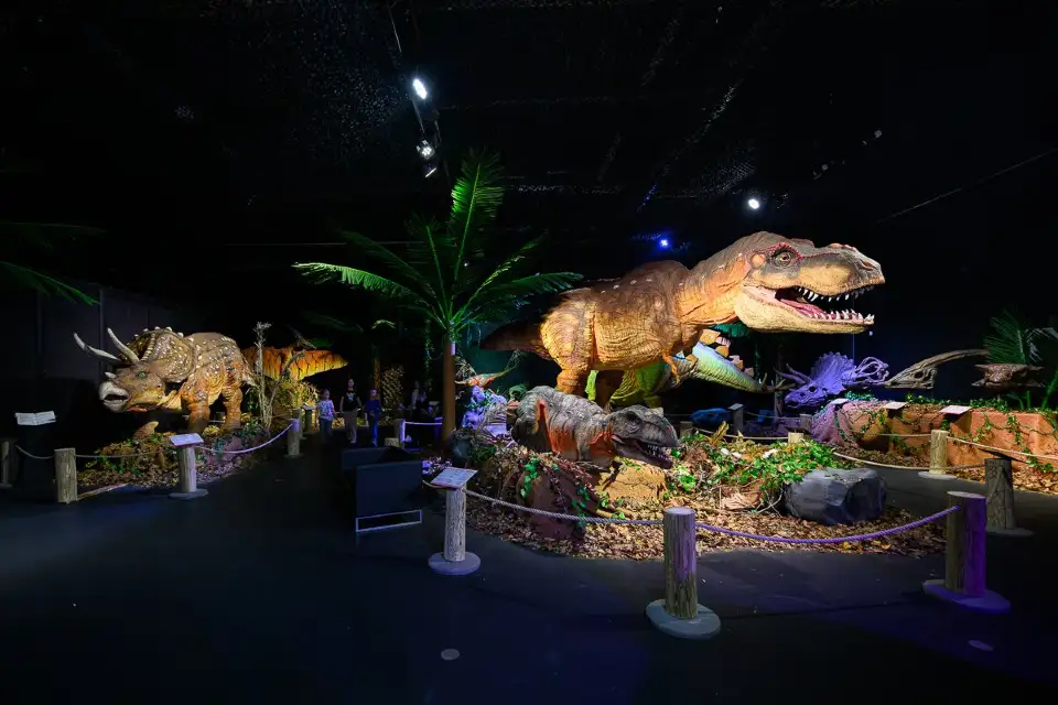 4_AHHAA Science Centre