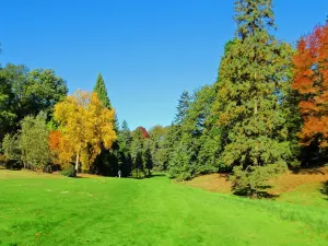 Windsor Great Park