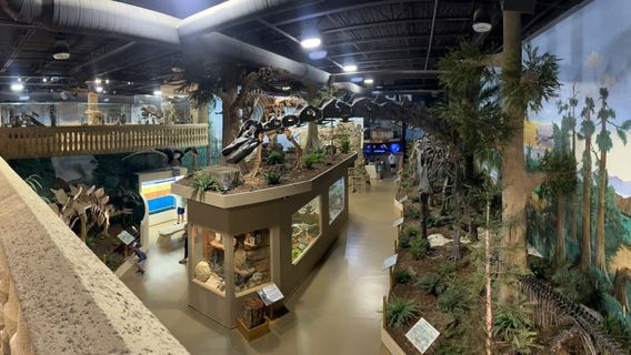 The Dinosaur Store