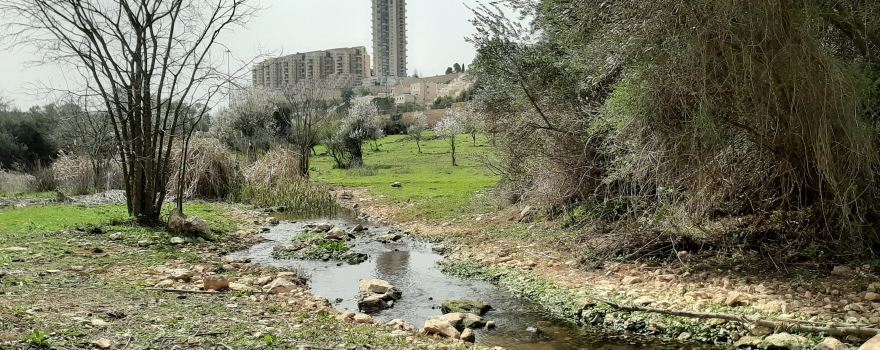 Gazelle Valley