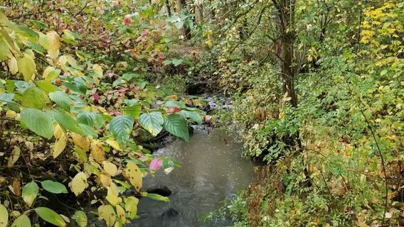 Beaverton