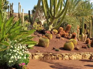 Fuerteventura Botanical Garden