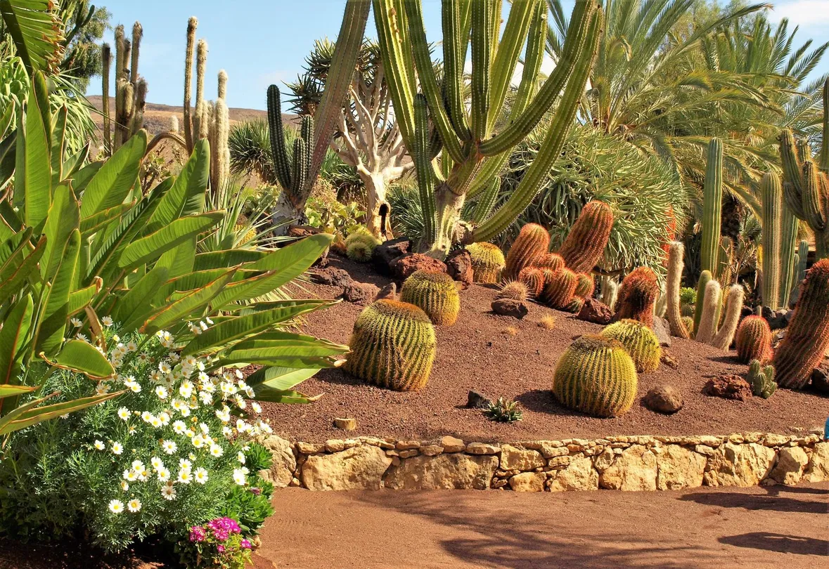 5_Fuerteventura Botanical Garden